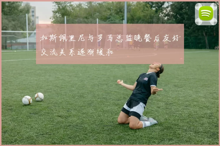 加斯佩里尼与罗马总监晚餐后友好交流关系逐渐缓和